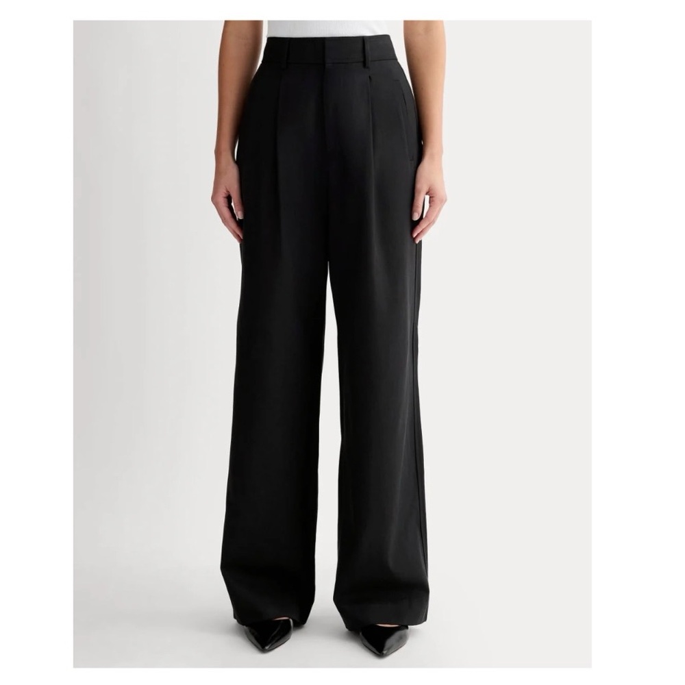 Everlane Pleated Wide Leg Draper Pants